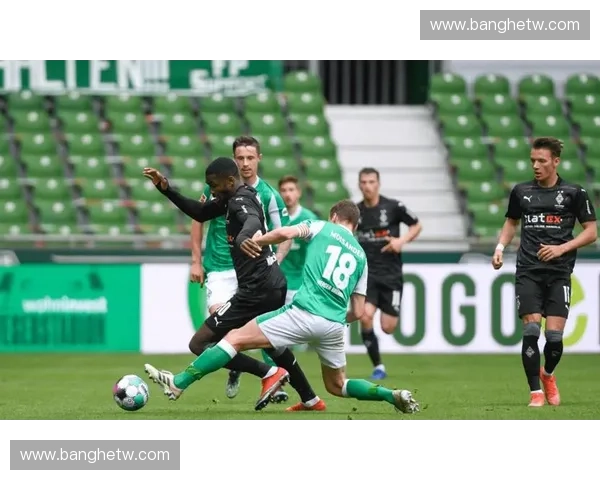 探寻德甲足球联赛百年荣光与现代竞技精神的传承与创新之路